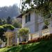 Montalvo's Historic Villa